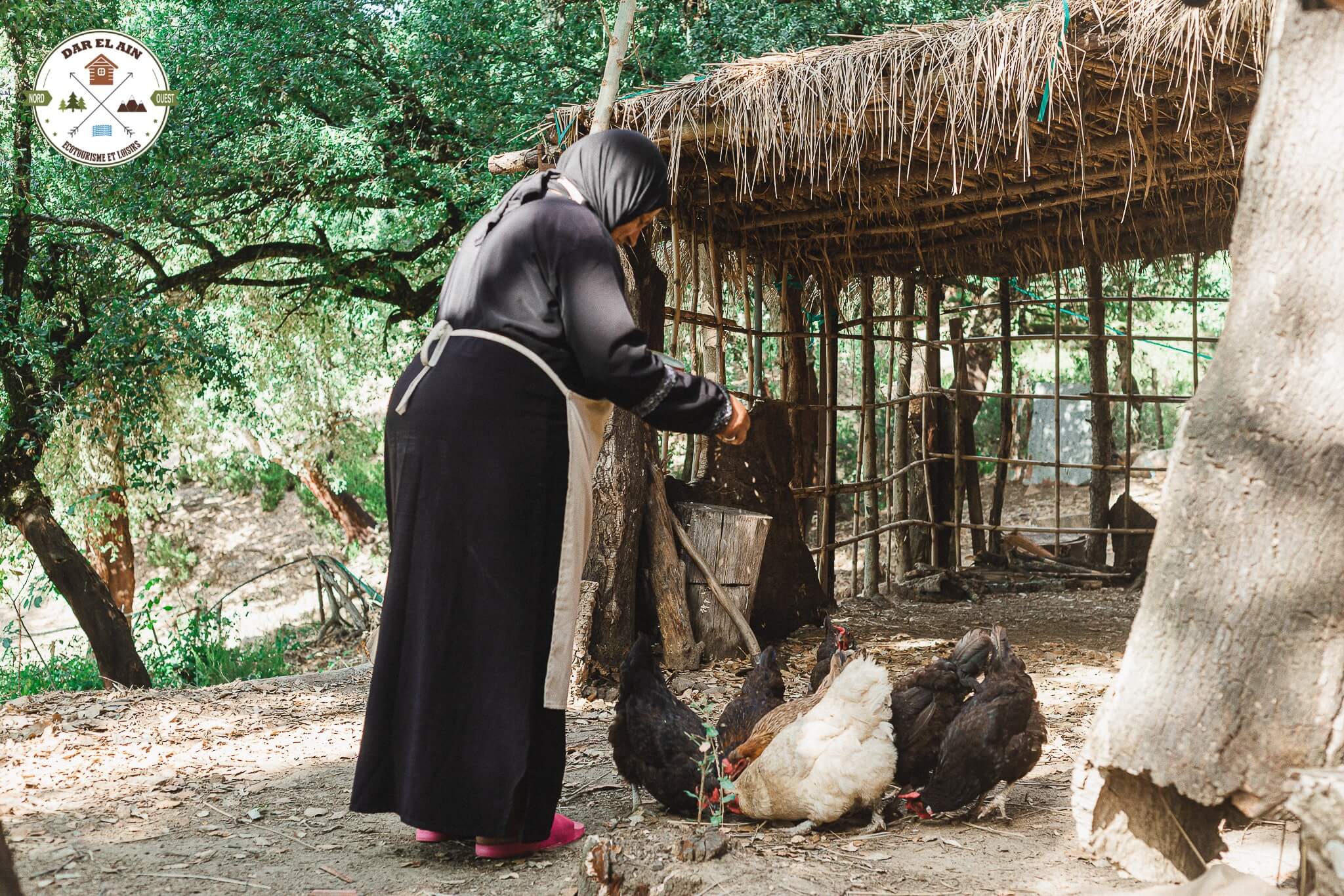 Agence Incentive Tunisie