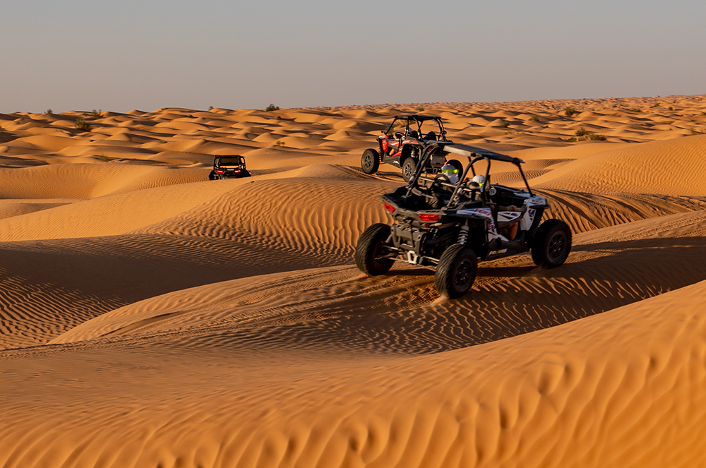 Agence Incentive Tunisie